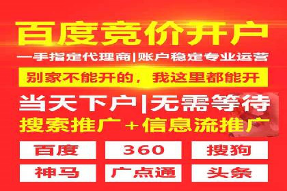 成功案例：网络推广竞价在汽车行业的运用